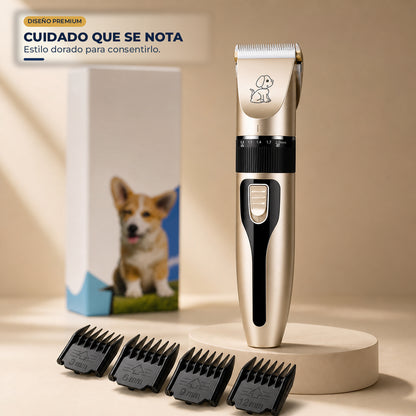 Kit de peluquería para mascotas — editorial dorado premium