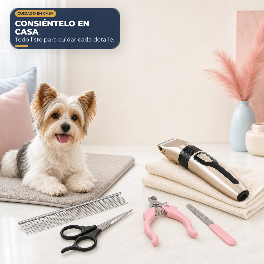 Kit de peluquería para mascotas — rutina de cuidado completa